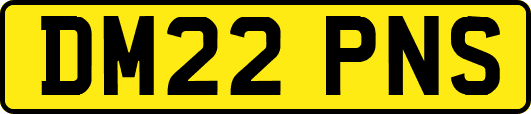DM22PNS