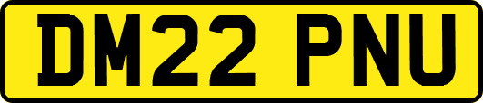DM22PNU