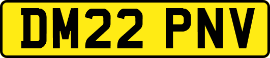 DM22PNV