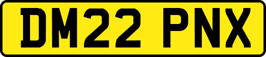 DM22PNX