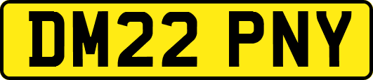 DM22PNY