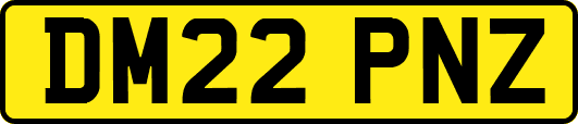 DM22PNZ