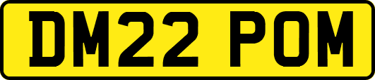 DM22POM