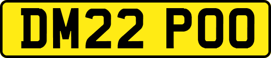 DM22POO