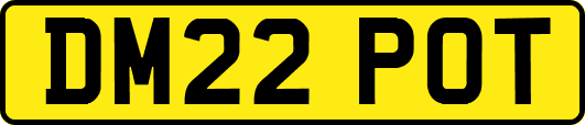 DM22POT