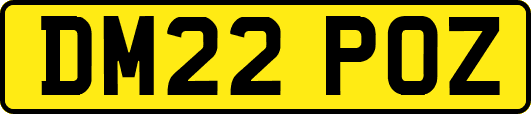 DM22POZ