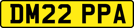 DM22PPA