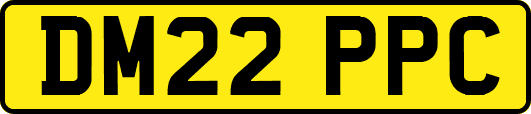 DM22PPC