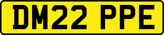 DM22PPE