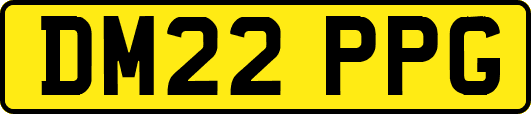 DM22PPG
