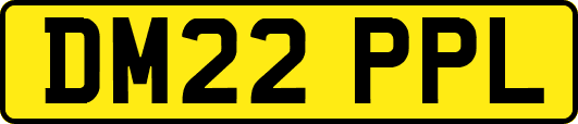 DM22PPL