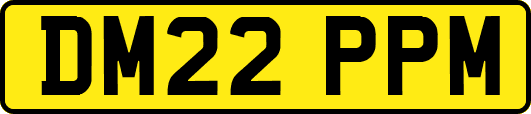 DM22PPM