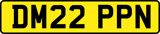 DM22PPN