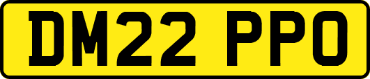 DM22PPO