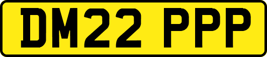 DM22PPP