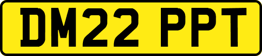 DM22PPT