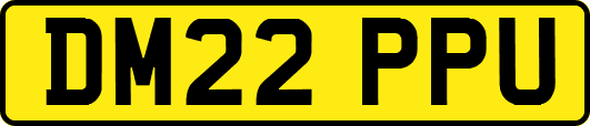 DM22PPU
