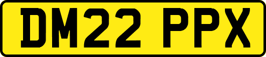 DM22PPX
