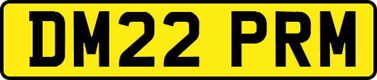 DM22PRM