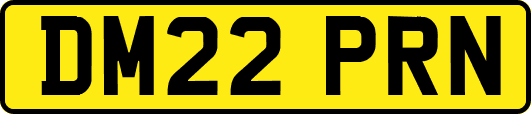 DM22PRN