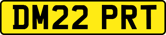 DM22PRT