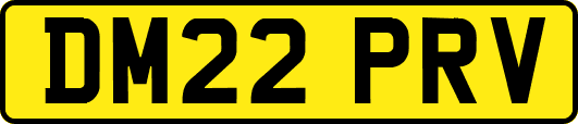 DM22PRV