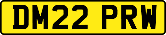DM22PRW