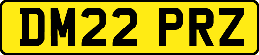 DM22PRZ
