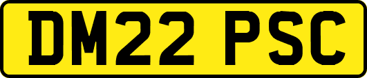 DM22PSC