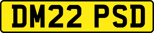 DM22PSD