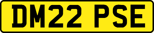 DM22PSE