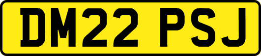 DM22PSJ