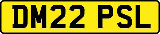 DM22PSL