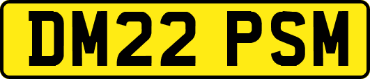 DM22PSM