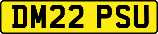 DM22PSU