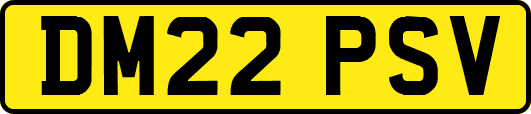DM22PSV