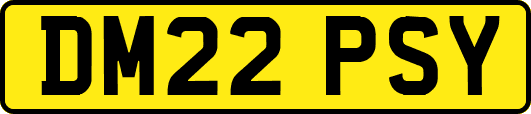 DM22PSY