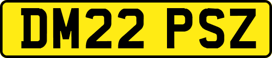 DM22PSZ