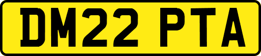 DM22PTA