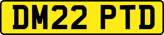 DM22PTD