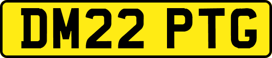 DM22PTG