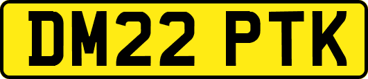 DM22PTK