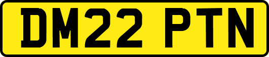 DM22PTN