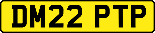 DM22PTP