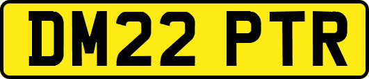 DM22PTR