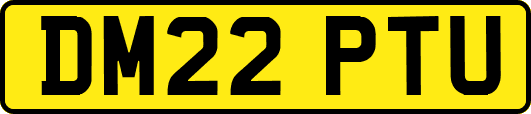 DM22PTU
