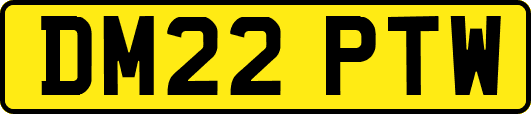 DM22PTW