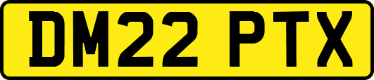 DM22PTX