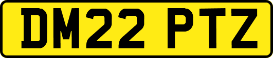 DM22PTZ