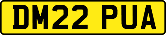 DM22PUA